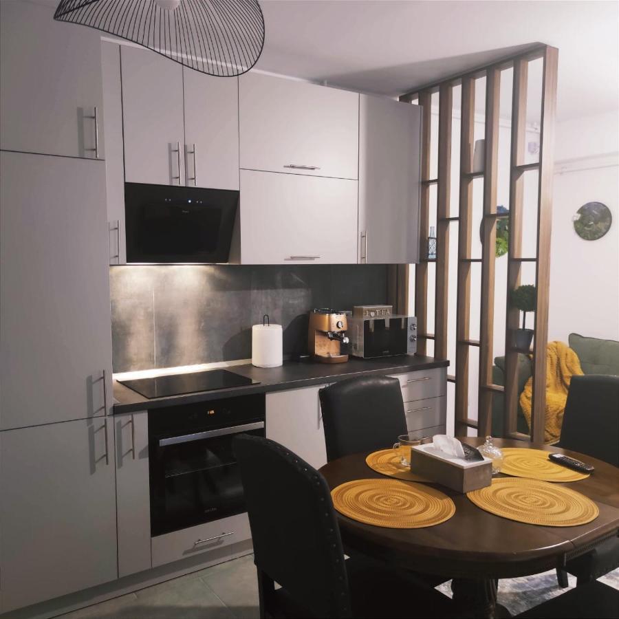 Cozy Studio Appartement Braşov Buitenkant foto