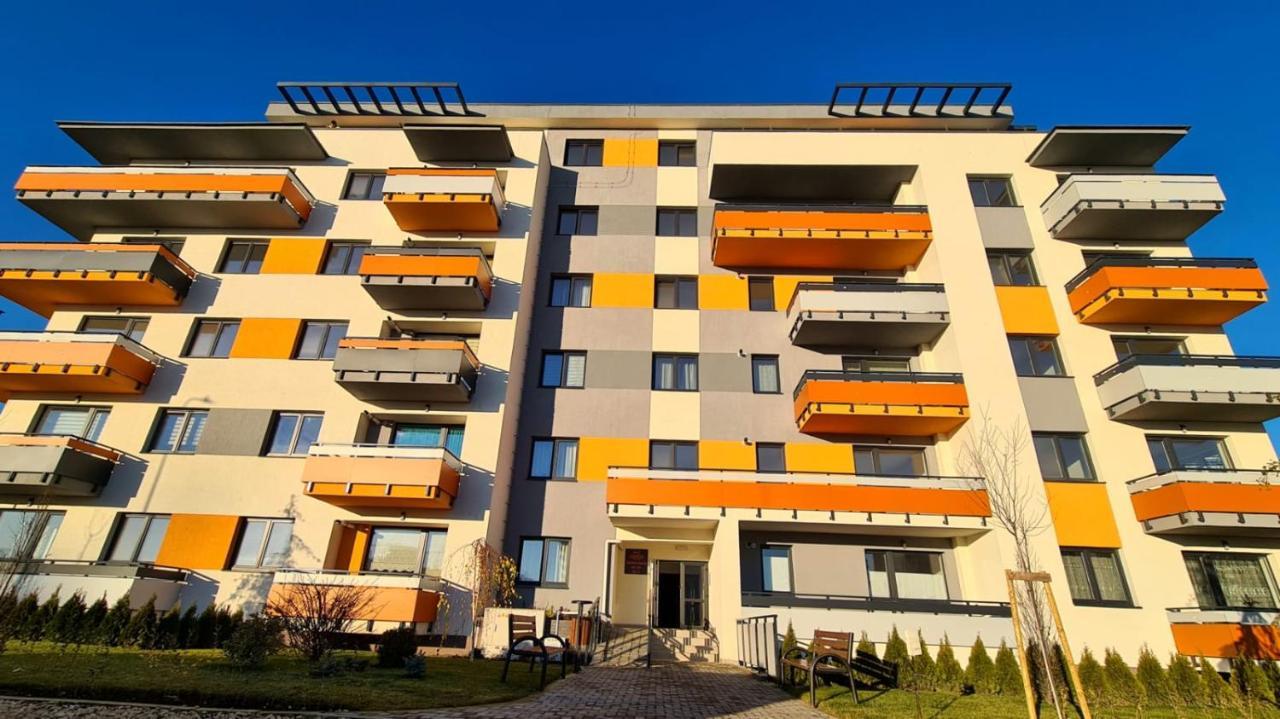 Cozy Studio Appartement Braşov Buitenkant foto