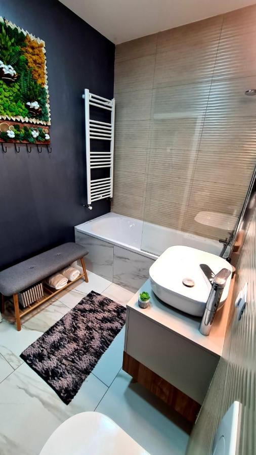 Cozy Studio Appartement Braşov Buitenkant foto